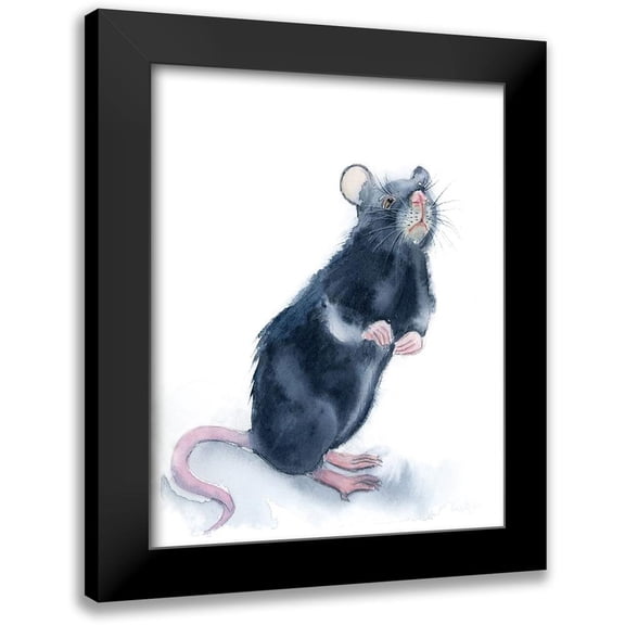 Shefranov, Olga 20x24 Black Modern Framed Museum Art Print Titled - Rat