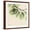 Brown Frame, variant on Art.com Mint Eucalyptus 3 Stretched Canvas Print Wall Art by Albert Koetsier, 16" x 16"