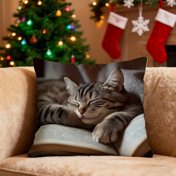 Funda de almohada con estampado de gatos durmiendo y libros | Funda de almohada de poliéster suave de pelo corto | Cojín decorativo de 45 x 45 cm para sofá y cama