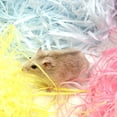 thumbnail image 4 of Paper Shred Filler Cozy Natural Hamster Paper Bedding Hamster Shredded Paper, 4 of 8