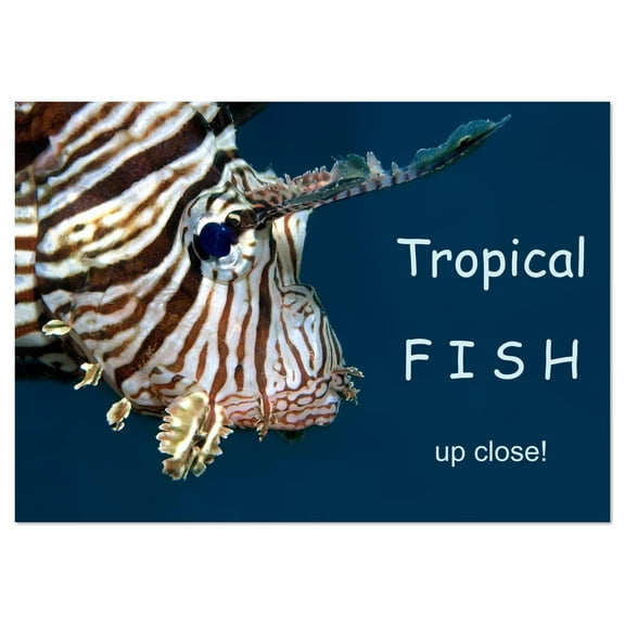 Tropical FISH - up close (Monthly Wall Calendar 2026 11.7 x 16.5 (open)), CALVENDO 14 Month Calendar