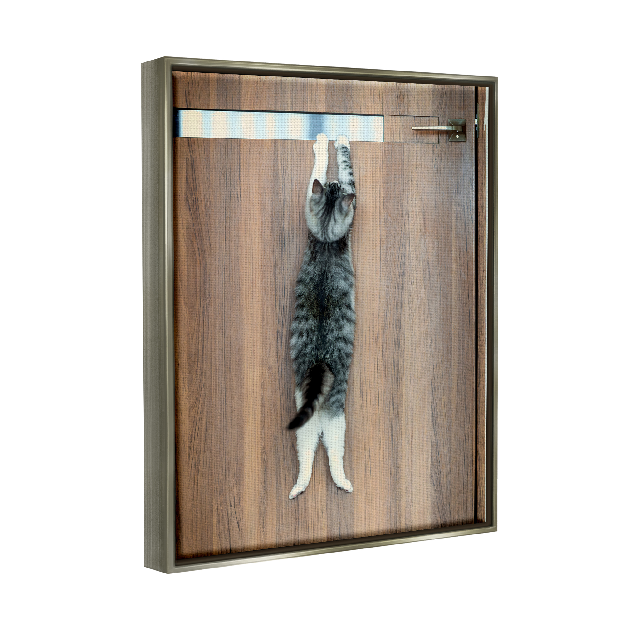 Stupell Industries Desperate Cat Escaping Animals & Insects Photography Gray Floater Framed Canvas Art Print Wall Art, 17 x 21