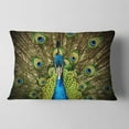 thumbnail image 2 of Designart Grand Peacock - Animal Throw Pillow - 12x20, 2 of 5