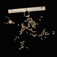 thumbnail image 6 of Mutmorningal 6pcs Metal Bag Clasps for Women Handcrafts, Golden Clasps for Bag Making and Repairs, 6 of 10