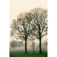 thumbnail image 2 of Preparing for Sunset Poster Print by Lars Van de Goor (12 x 18), 2 of 2