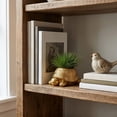 thumbnail image 3 of ZZHZGZ Canada Sale Tortoise Shaped Golden Tone Container for Succulents Small Indoor Desktop Daily Use, 3 of 5