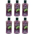 thumbnail image 1 of Shampooing à l'Aloe Vera et aux Pépins de Raisin (400 ml) (Lot de 6) par Purest, 1 of 1
