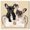 Gallery Wrapped, variant on Frenchie Pair Purse Canvas Fashion Pet Art by Art Remedy, White Frame, 40" x 40"