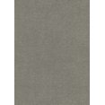 thumbnail image 1 of SAMBESI - Expressive Wall Design Exotic Animal Prints Grey Wallpaper Roll, 1 of 1