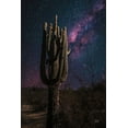 thumbnail image 2 of Larson, Nathan 11x14 Gold Ornate Wood Framed with Double Matting Museum Art Print Titled - Desert Nights, 2 of 4