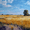Field, variant on Abstract Geometric Canvas Print Wall Art for Living Room Bedroom Office Hotel Cafe