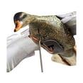 thumbnail image 3 of Higdon Clone Hen Mallard Duck Motion Decoy, 3 of 4