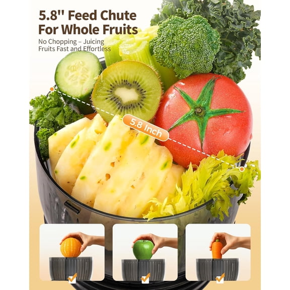 Cold Press Juicer Machine - MP-802M (Black)