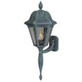 thumbnail image 1 of Luminaire Floral à Grande Monture Inférieure avec Queue Courte&44; Vert Verde, 1 of 1