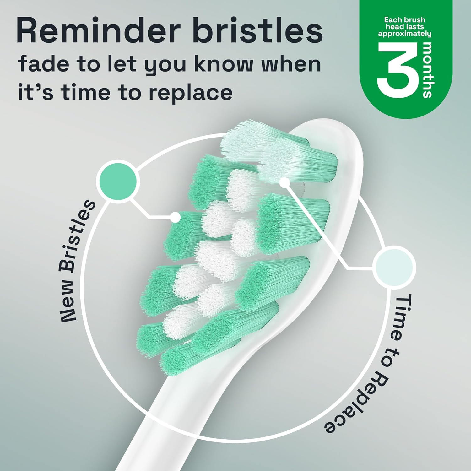 Brushmo Replacement Toothbrush Heads for Sonicare, 8-Pack photo 2