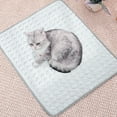 thumbnail image 4 of Tapis pour Animaux Réversible en Gel Rafraîchissant pour Chiens et Chats Usage Intérieur Extérieur Lavable en Machine Confort, 4 of 5