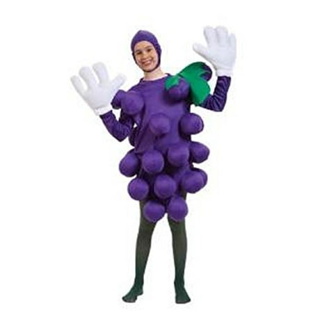 Childs Purple Grapes Costume Std