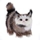 thumbnail image 2 of Gato artificial de peluche para manualidades, espécimen de gato para el hogar, sala de estar (ceniza negra) Ehuebsd  libre de BPA, 2 of 7