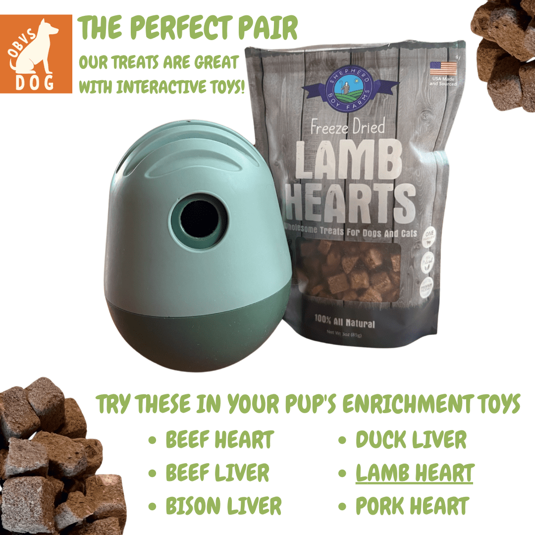 Shepherd Boy Farms Freeze Dried Dog and Cat Treats, Lamb Heart, All Natural Single Ingredient Freeze-Dried Dog Treat & Snacks, Made in USA, High Protein, Essential Nutrition of Raw Food, 8oz