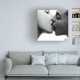 thumbnail image 2 of Canvas Wall Art - Martin Krystynek Mqep 'Kiss' Wall Art for Living Room, Bedroom, or Office Décor by Trademark Fine Art - 35 x 35 Inches, 2 of 4