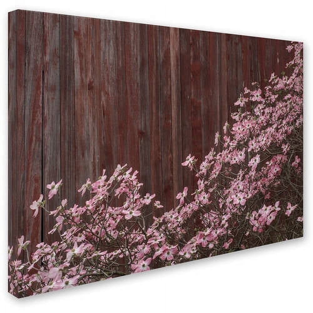 Trademark Fine Art "Pink Dogwood Red Barn Wood" Canvas Art by Kurt Shaffer