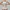 Beige, variant on Fajas Colombians Girdles With Row Buckle and Zipper Postpartum Corset Waist Trainer Body Shaper For Women Sexy Shaping Curve