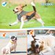 thumbnail image 2 of POPETPOP Chaleco refrescante y transpirable de verano para mascotas, arnés reflectante de seguridad para perros y cachorros, talla L (naranja), 2 of 6