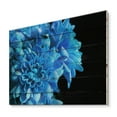 thumbnail image 2 of Designart 'Detail of Blue Flowers On Black Background I' Traditional Print on Natural Pine Wood, 2 of 5