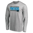 thumbnail image 2 of Men's Ash Carolina Panthers Iconic Collection On Side Stripe Long Sleeve T-Shirt, 2 of 3