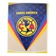thumbnail image 1 of Cobertor Matrimonial Frazada Ligera Vamos AmÃ©rica 1.8x2.1m GenÃ©rica VAMOS AMERICA, 1 of 4