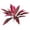 A, variant on 21.65 Inch Artificial Red Cordyline Ti Plant Stem, Realistic Faux Dragon's Blood Tree Fake Palm Leaf Foliage, Weatherproof Indoor Outdoor Floor Planter Porch Garden Home Landscape Decor