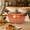 1.85 Gallon Orange, variant on 9.45 Inch Uncoated Japanese Iron Frying Pan with Wooden Lid, Round Bottom Small Stir Fry Wok, Natural Iron Skillet Compatible with Induction & Gas Stoves, Durable Uncoated Home Kitchen Cookware