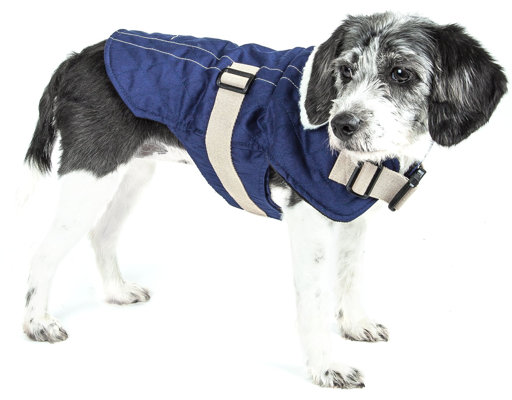 Original Sherpa-Bark Designer Buckle Fashion Pet Dog Coat Jacket