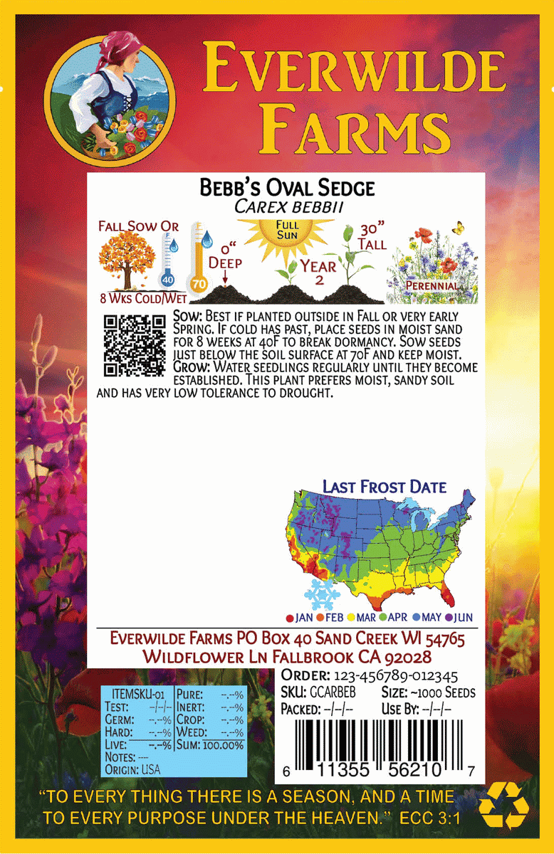 Everwilde Farms - 1 oz Bebbs Oval Sedge Native Grass Seeds - Gold Vault Bulk Seed Packet