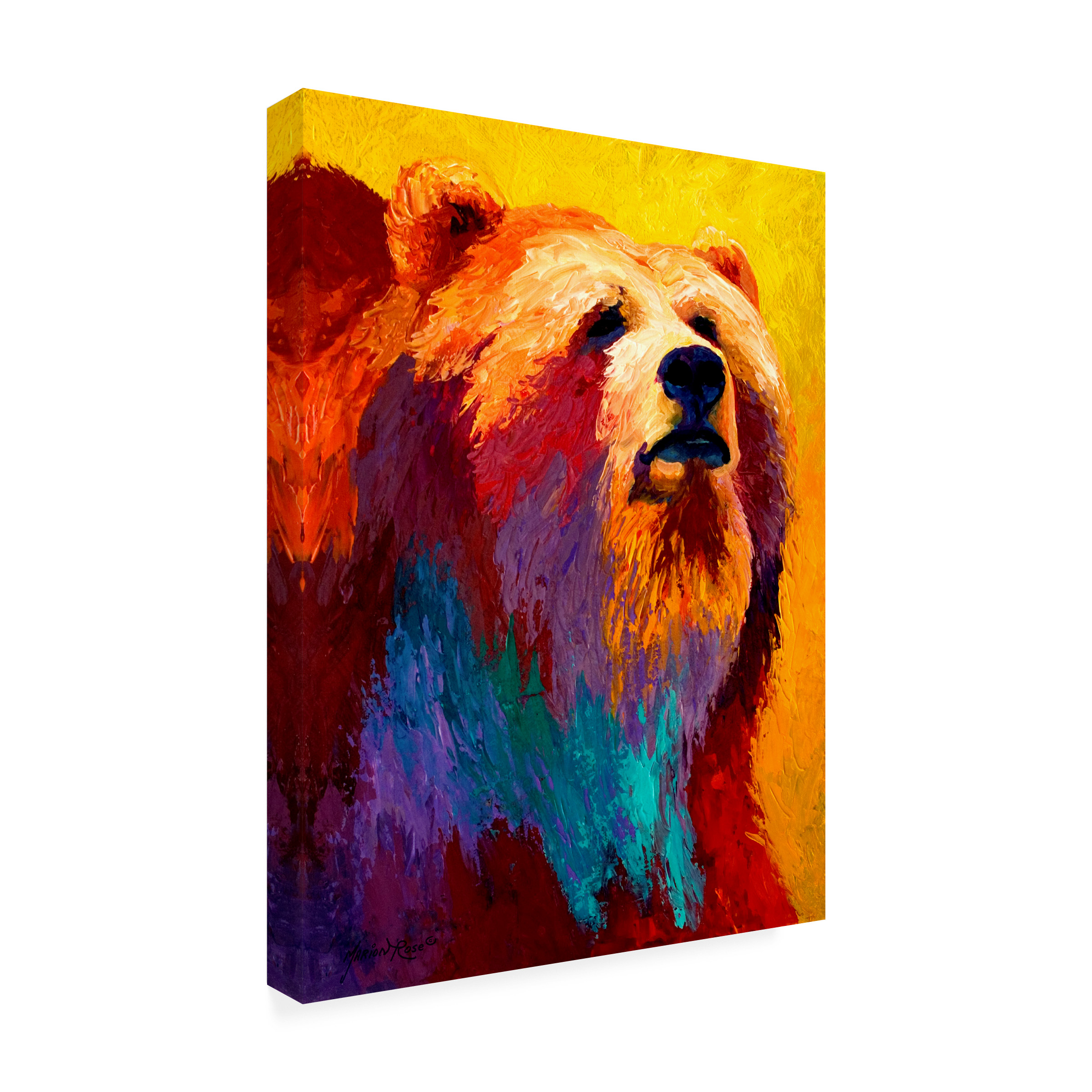 Marion Rose 'Ab Grizz III' Canvas Art