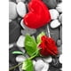 thumbnail image 1 of Cuadros Decorativos Diamond Painting Valentine Love Rose Full Round Drill Picture Kit (NH112) Likrtyny embutido en tela, 1 of 6