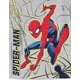 thumbnail image 4 of Conjunto de Remera y Shorts para Niños Marvel Spider-Man Gris y Azul Talle 6, 4 of 5