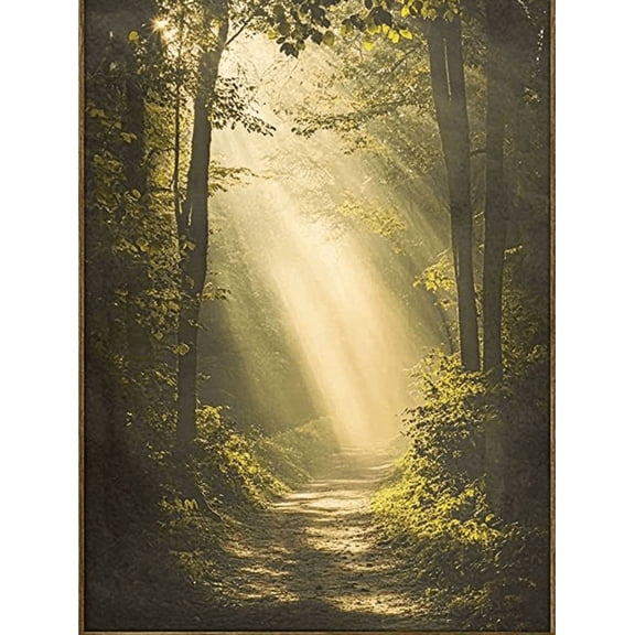 Sunlit Forest Path Canvas Print/Wall Art， Suitable for Living Room， Bedroom， Office， Hallway， and Dining Room Decoration.