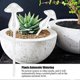 thumbnail image 4 of House Plants Flowers Automatic Self Watering Devices Clear Glass Water Feeder Mushroom Shape Garden Tool, 4 of 5