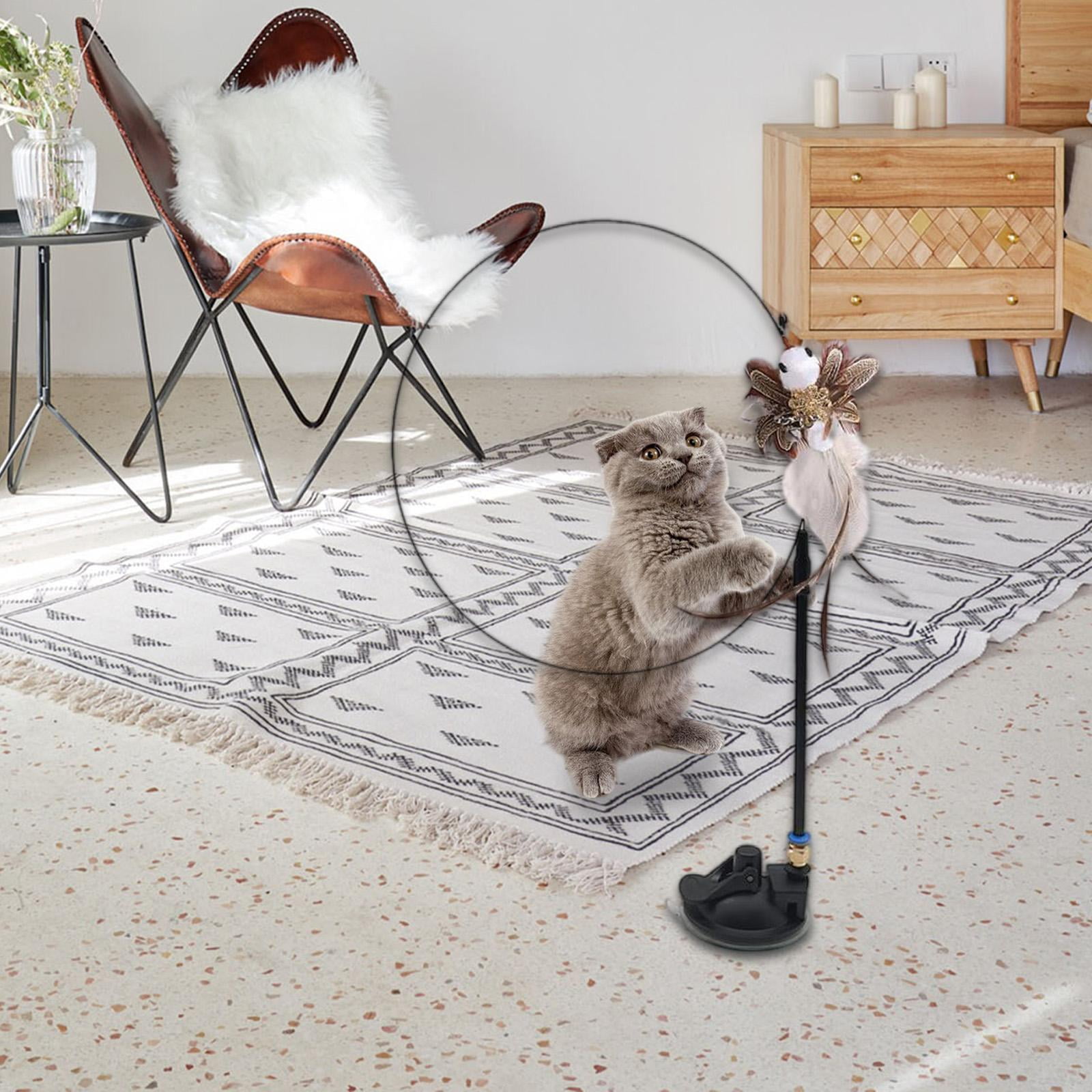 EHJRE 4Pcs Funny Cat Feather Toy Interactive Indoor Kitty Exercise Training Tool