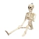 thumbnail image 1 of Accesorio humano de Halloween espeluznante, esqueleto, figura de juguete, esqueleto, fiesta, novedad, juguete divertido, 1 of 8