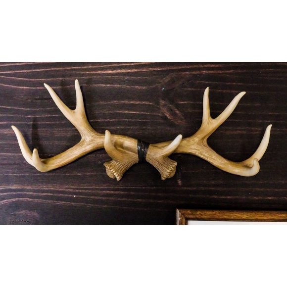 Brown Rustic 10 Point Stag Deer Antlers Rack Wall Plaque 17"Wide Coat Hooks