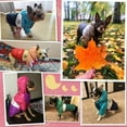 thumbnail image 3 of Abrigo de invierno para perros, abrigo de invierno, impermeable, cálido, abrigo para perros, chaqueta de plumón, ropa impermeable para perros pequeños, medianos y grandes, M, 3 of 5