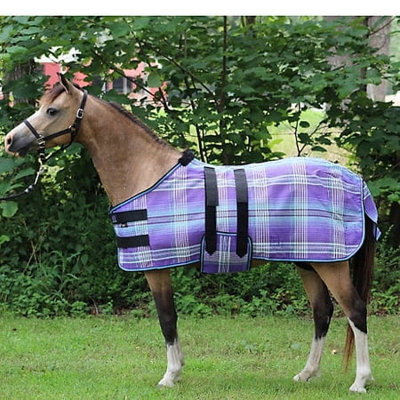 Kensington Mini Protective Fly Sheet MD Kentucky B
