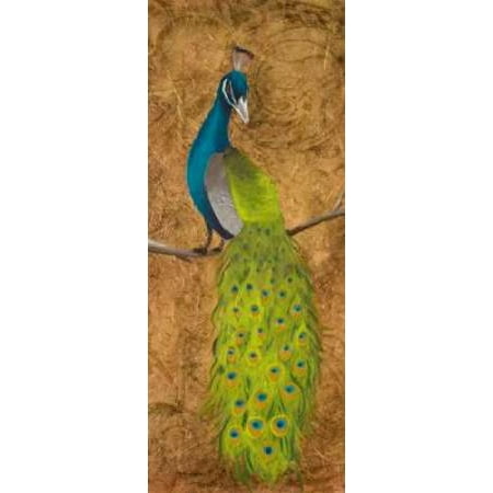 Peacocks II Canvas Art - Josefina (10 x 20)