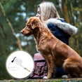 thumbnail image 1 of QUMIIRITY 1Set Retractable Dog Tie Out with Portable Design for Pet Owners, 1 of 6