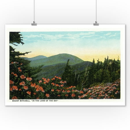 Blue Ridge Mountains, North Carolina - Mount Mitchelll Scene (9x12 Art Print, Wall Decor Travel