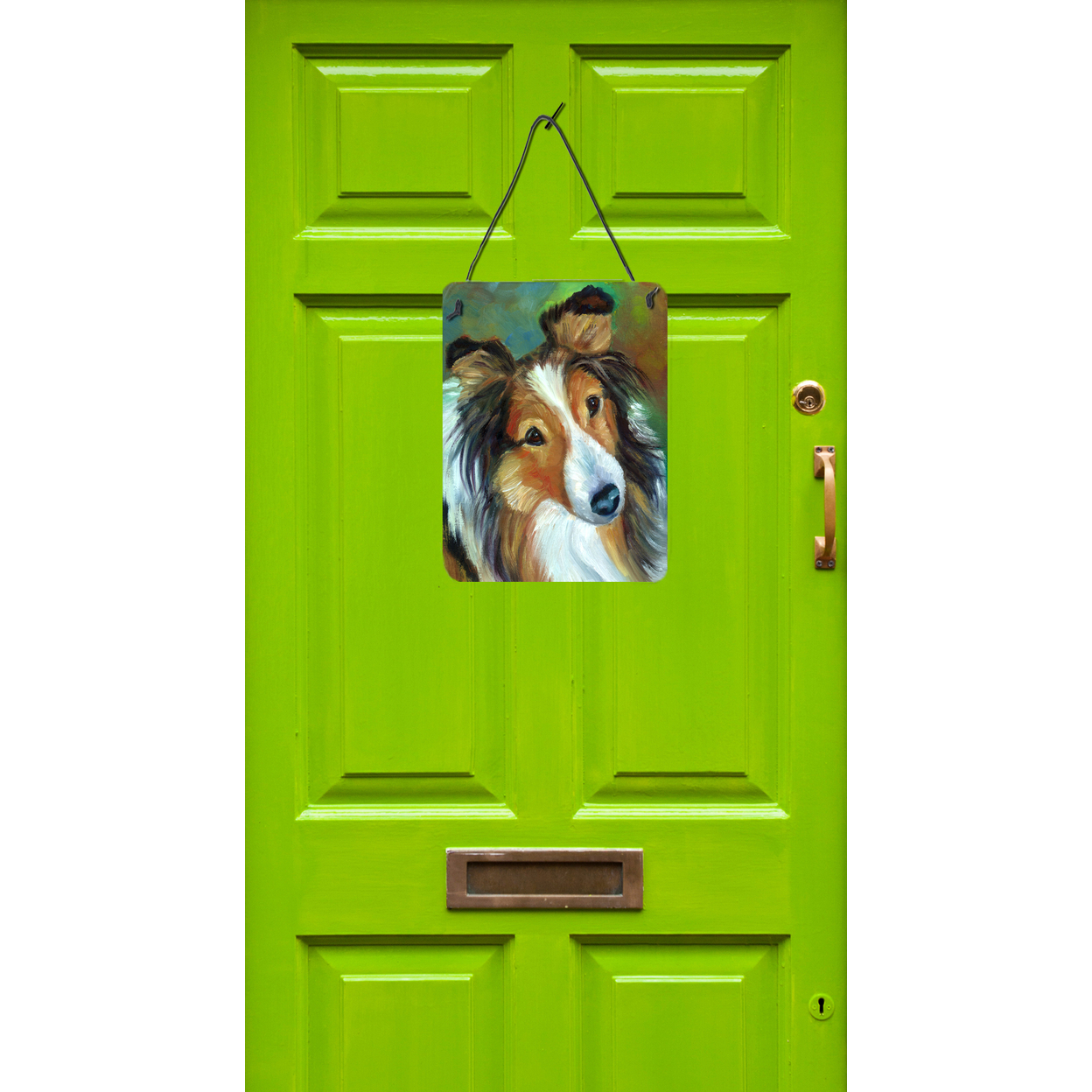 Sheltie Curiosity Wall or Door Hanging Prints