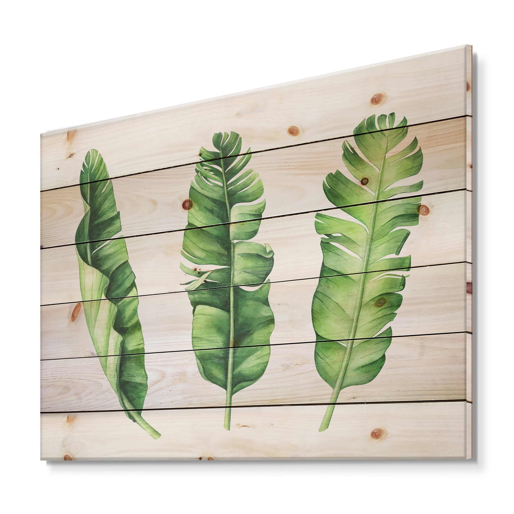 Designart 'Tropical Banana Leaves Set On White' Farmhouse Print on Natural Pine Wood