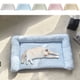 thumbnail image 1 of Colchoneta de Hielo para Mascotas de Verano | Cama Fresca para Perros y Gatos | Tejido Indeformable y Transpirable | Tecnología de Absorción Del Sudor | Resistente a Las Manchas | S (50 X 30 Cm), 1 of 5